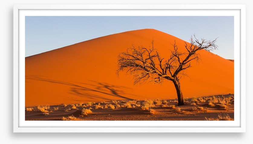 Desert