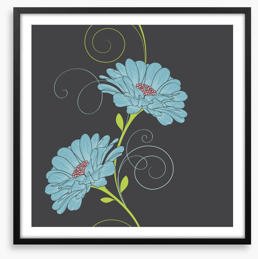 Chamomile curls II