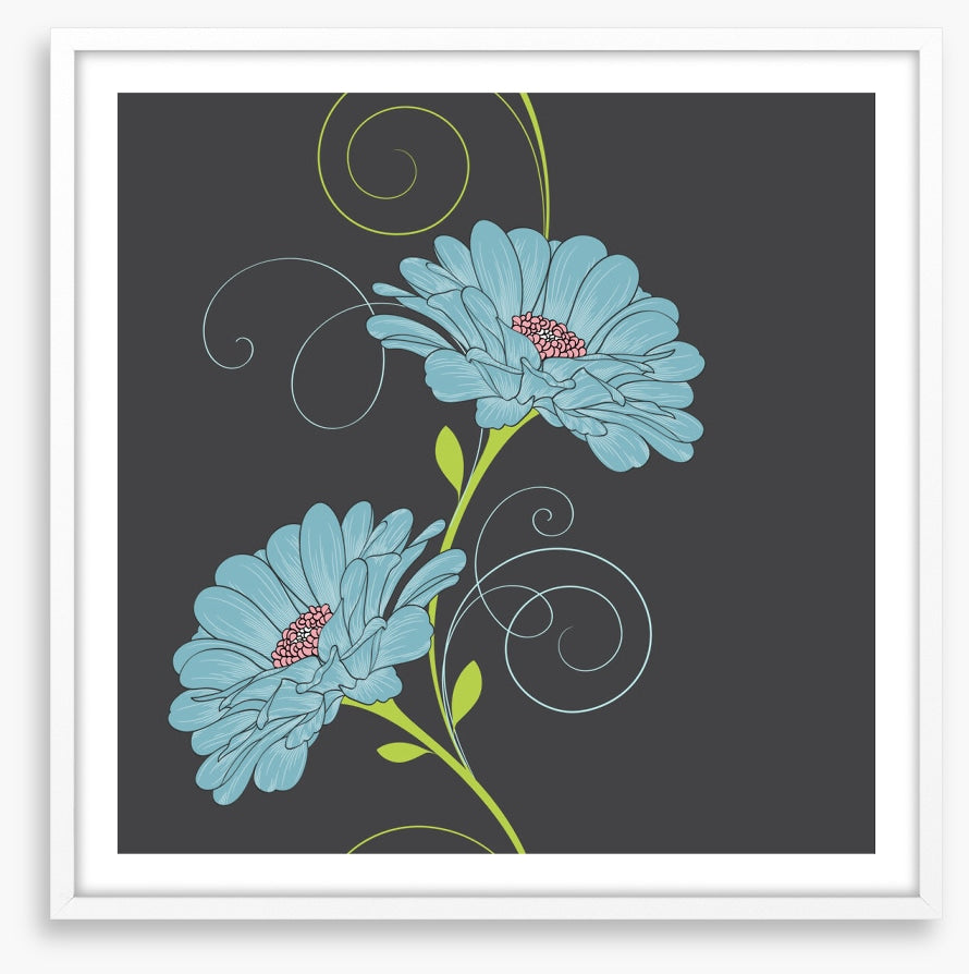 Chamomile curls II