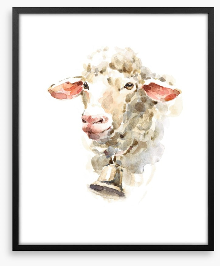 Sally the sheep