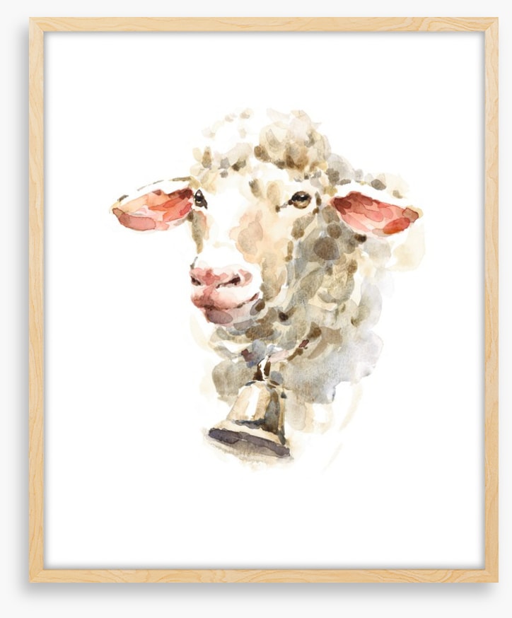 Sally the sheep