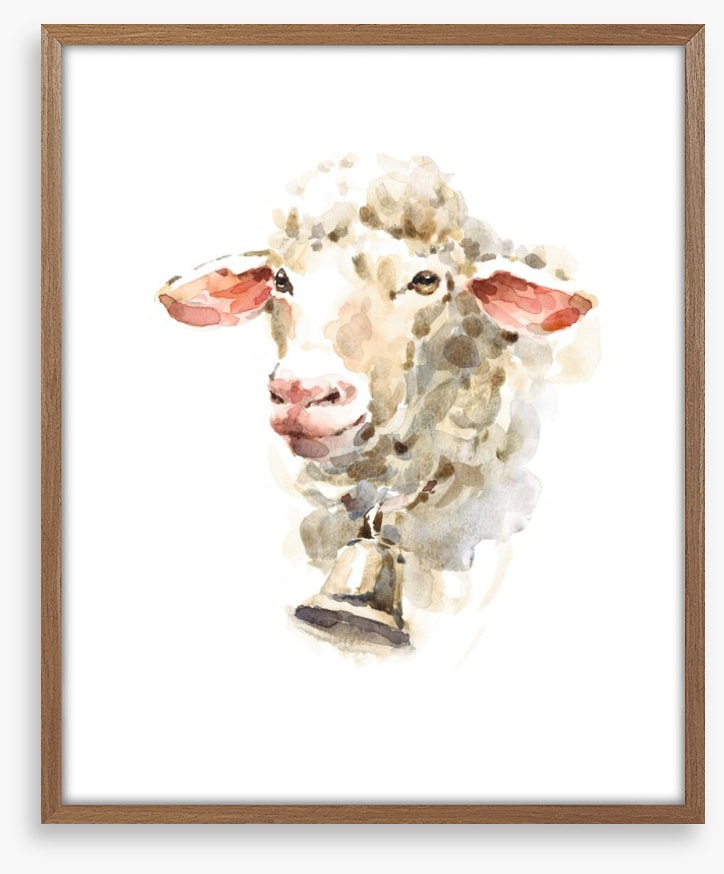 Sally the sheep