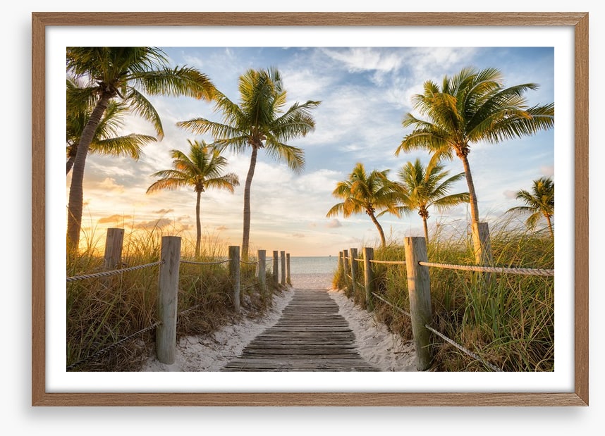 Palms to the beach
