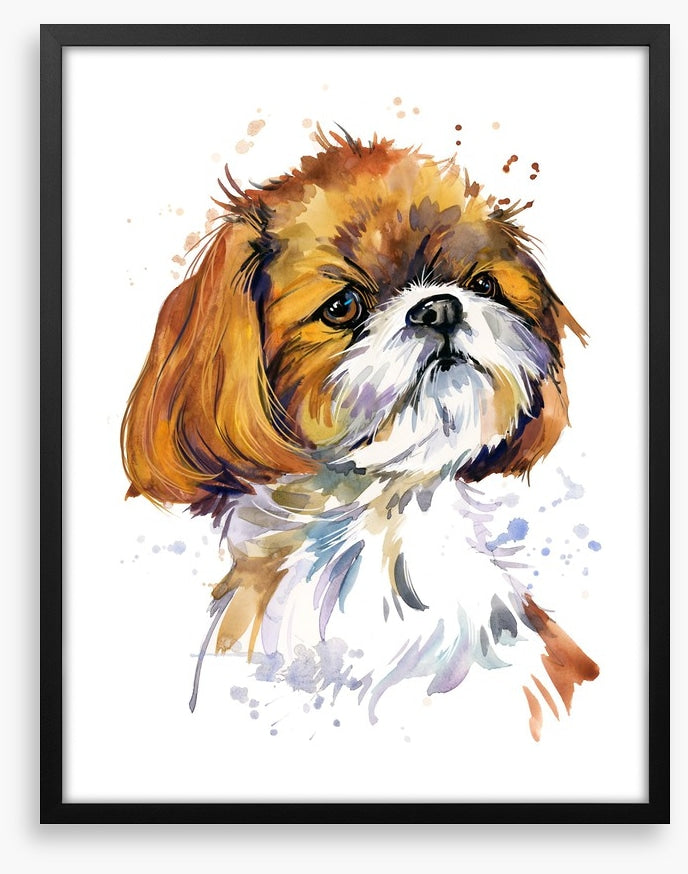 Shih tzu pup