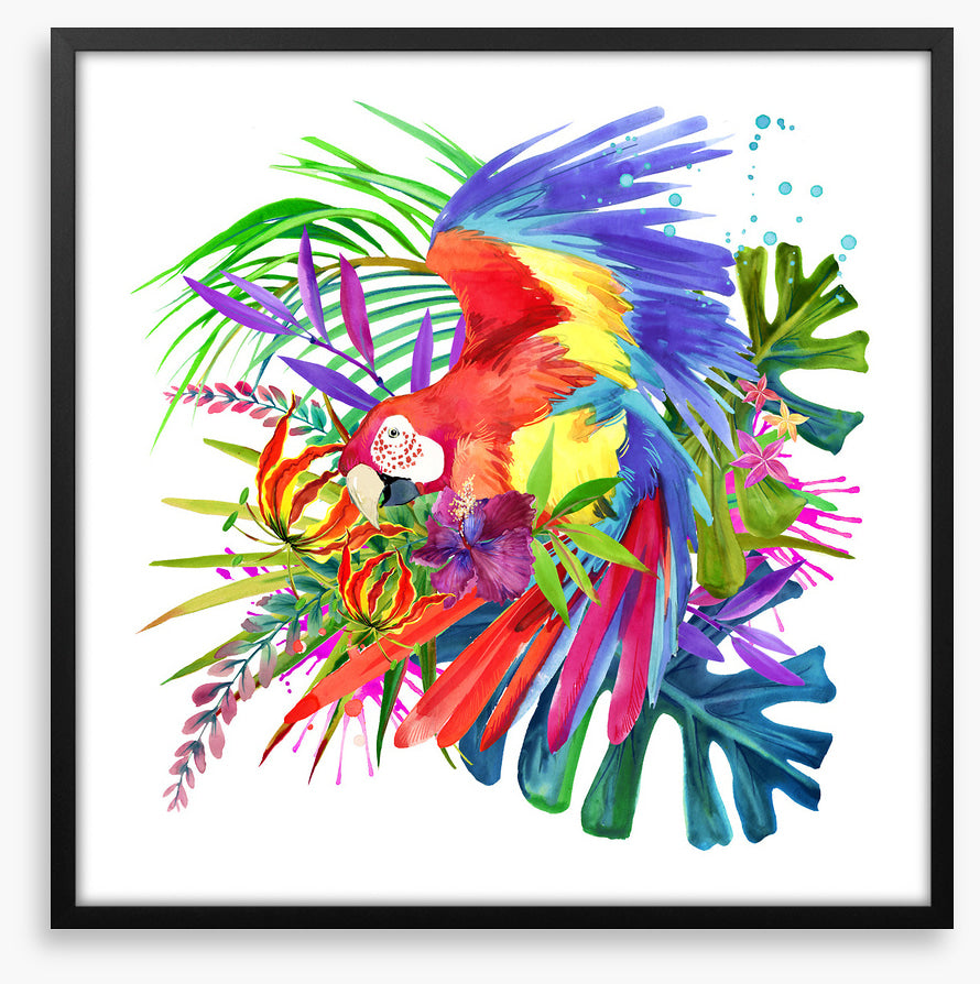 Paradise bloom parrot I