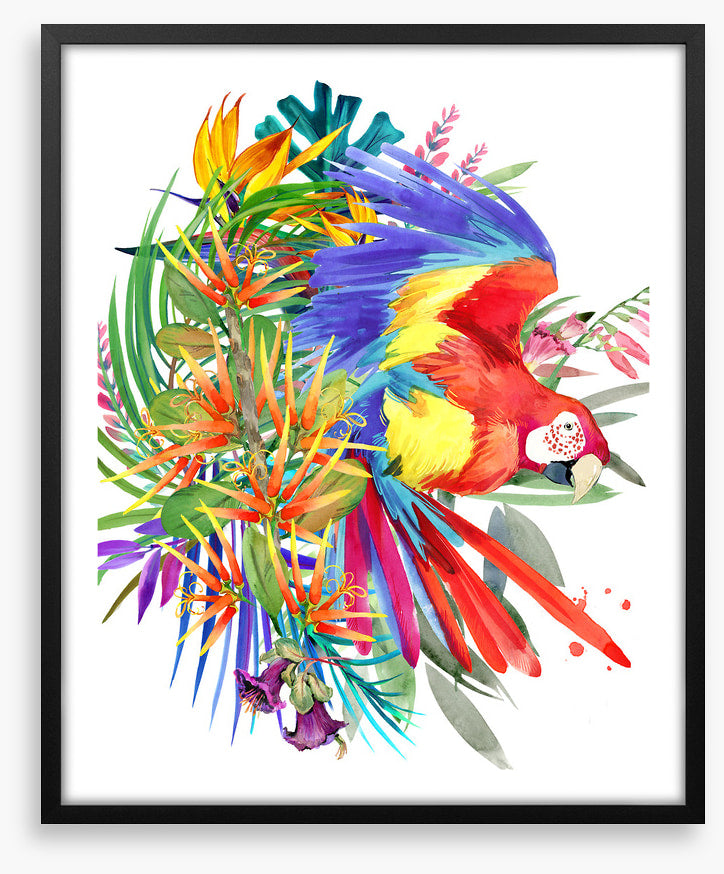 Paradise bloom parrot II