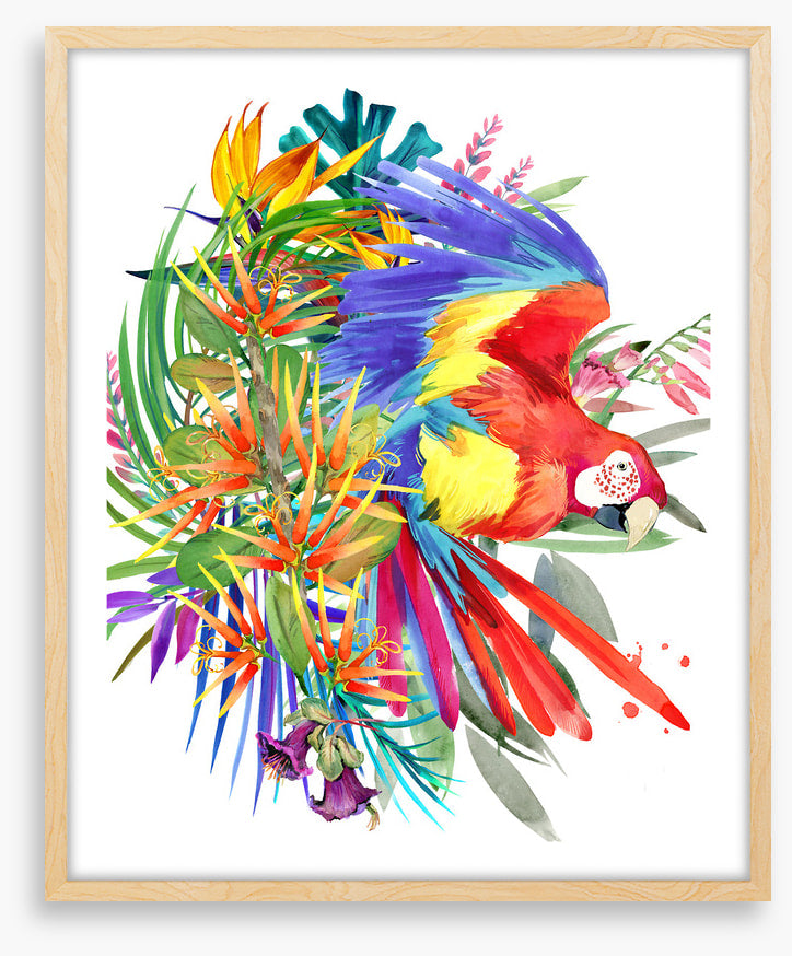 Paradise bloom parrot II