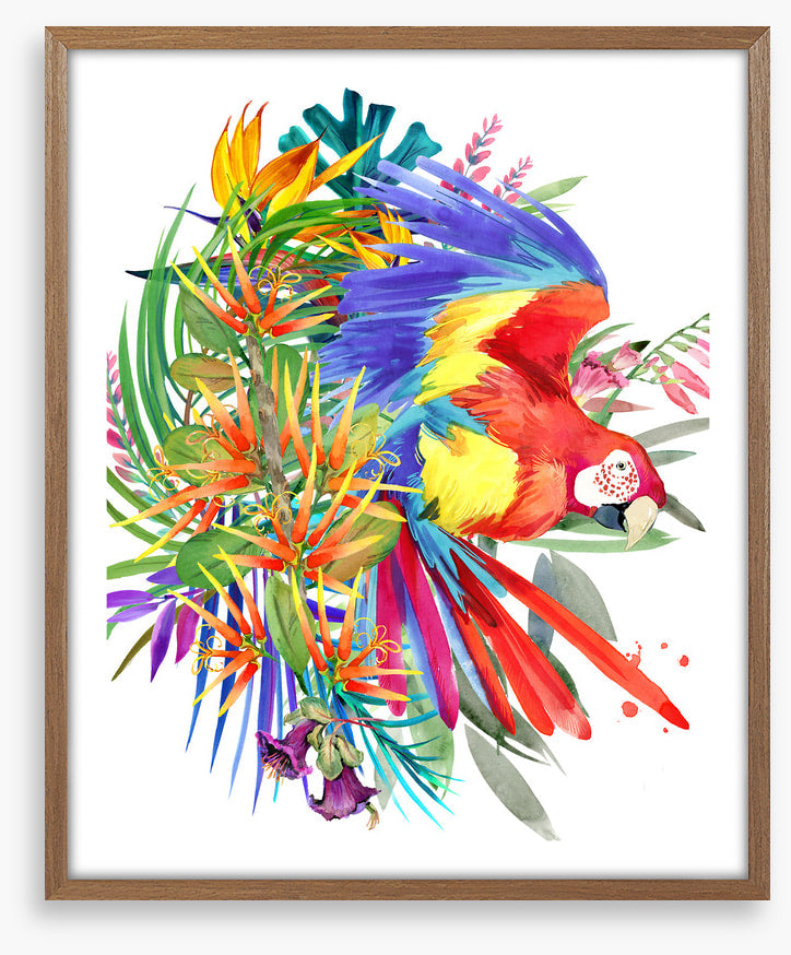 Paradise bloom parrot II