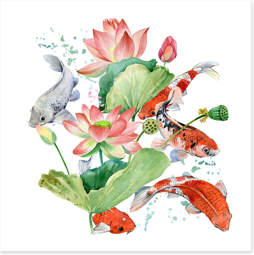 Pink lotus koi 1