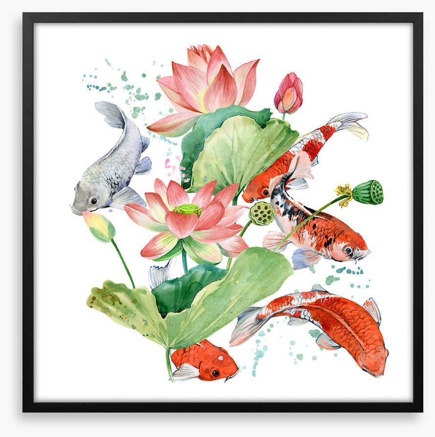 Pink lotus koi 1