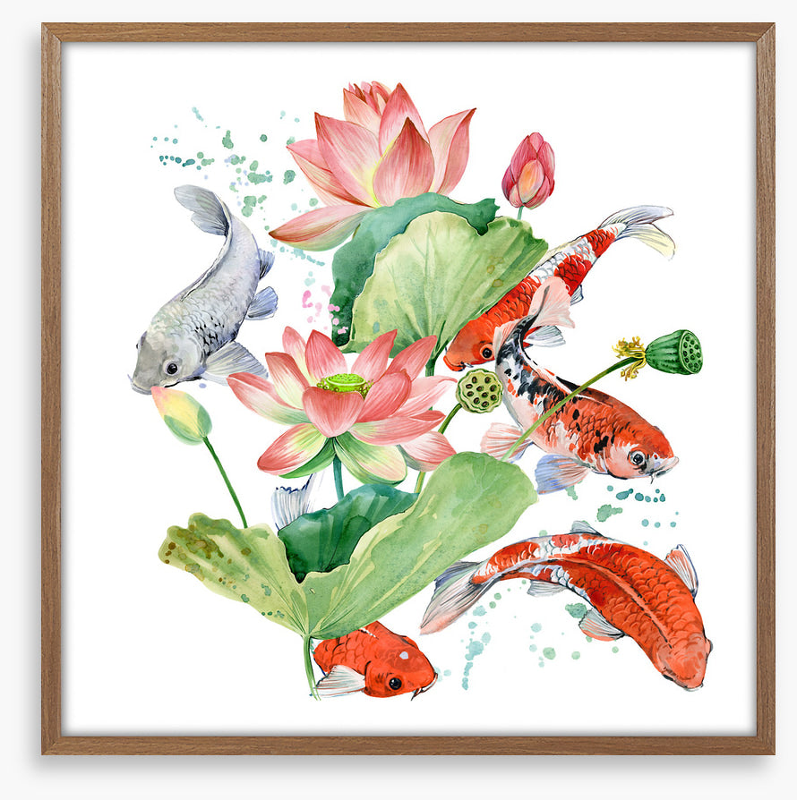 Pink lotus koi 1