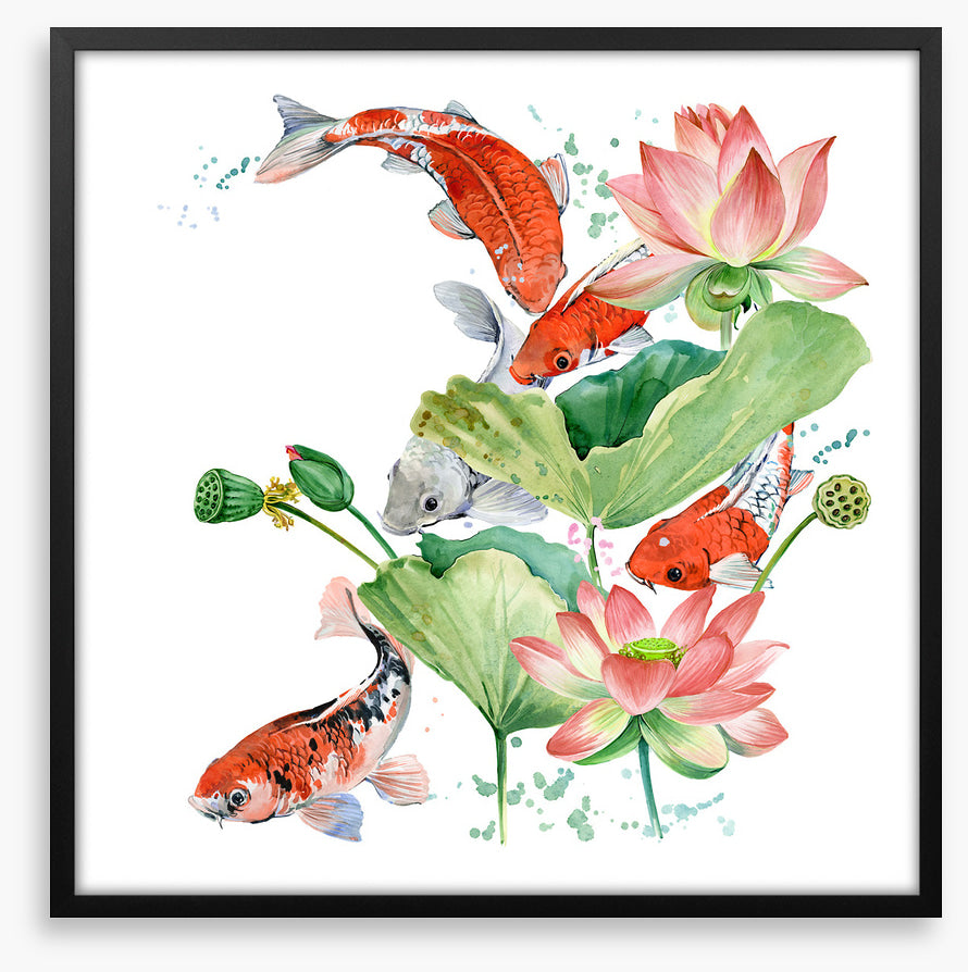 Pink lotus koi 2