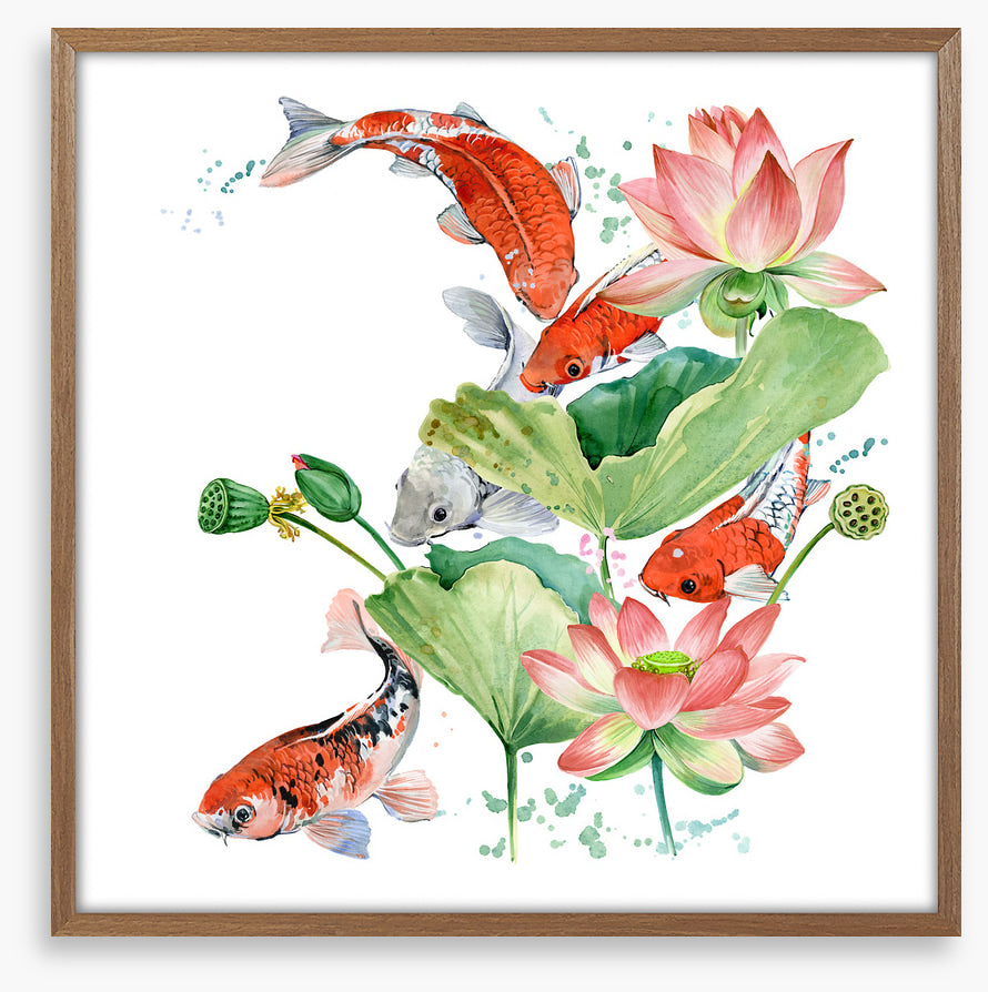 Pink lotus koi 2