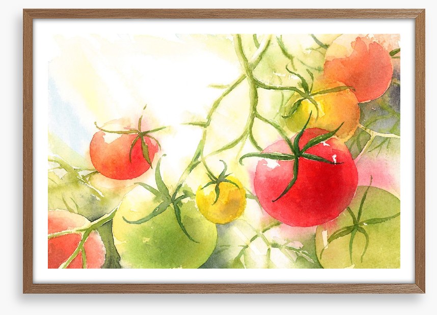 Vine ripened