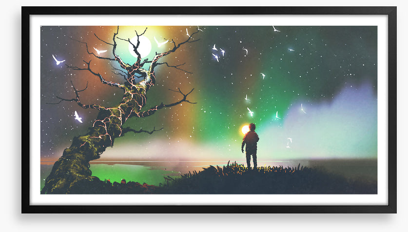 Aurora light flight