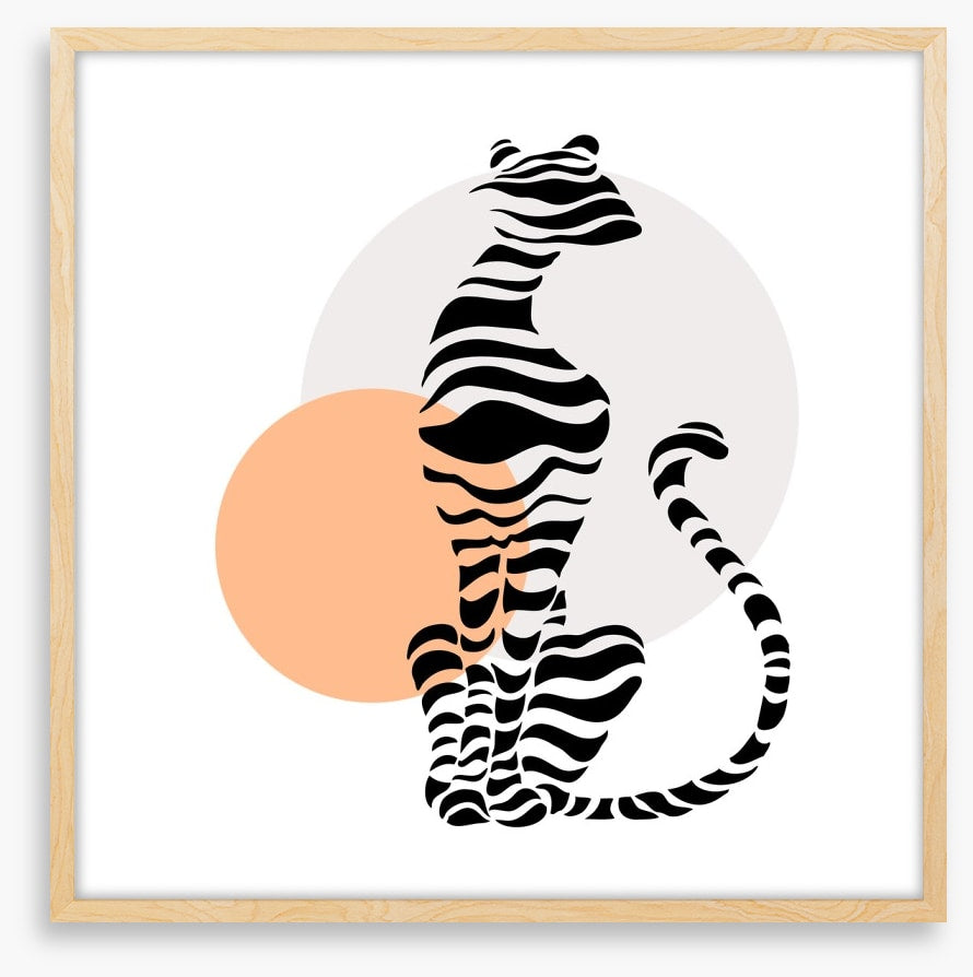 Big cat sundown