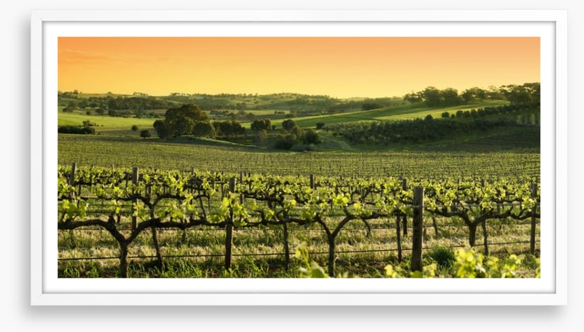 Barossa Valley sunset