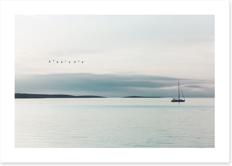 Following the birds