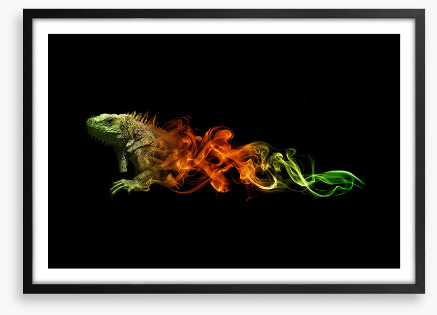 Lizard of fire