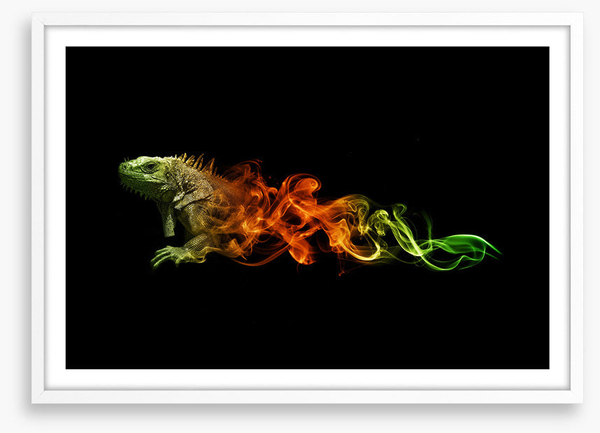 Lizard of fire