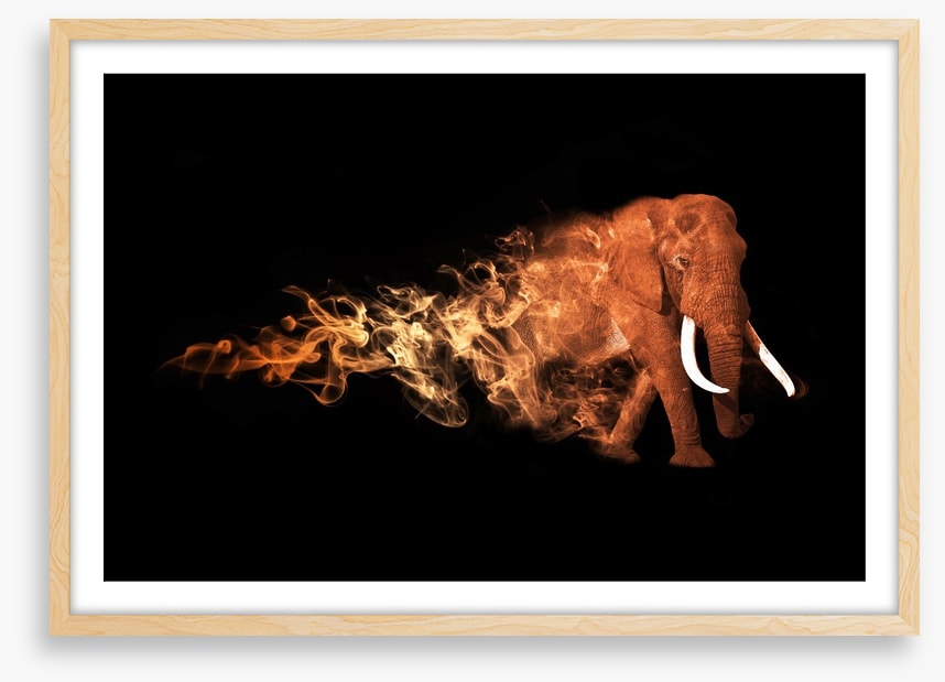 Elephant of fire