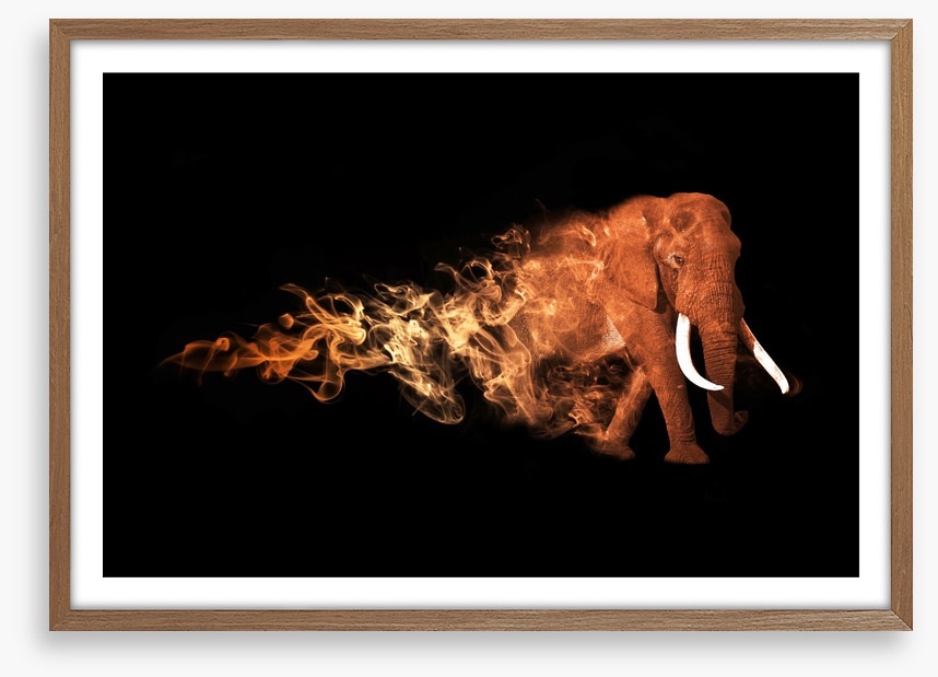 Elephant of fire