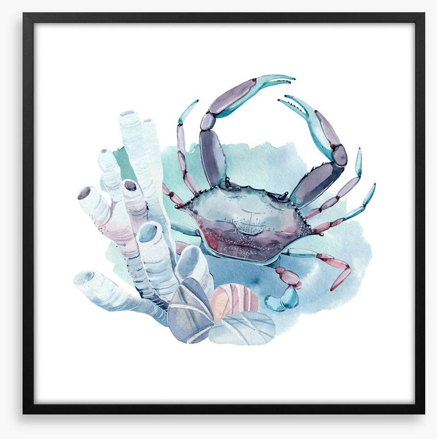 Crab in the coral