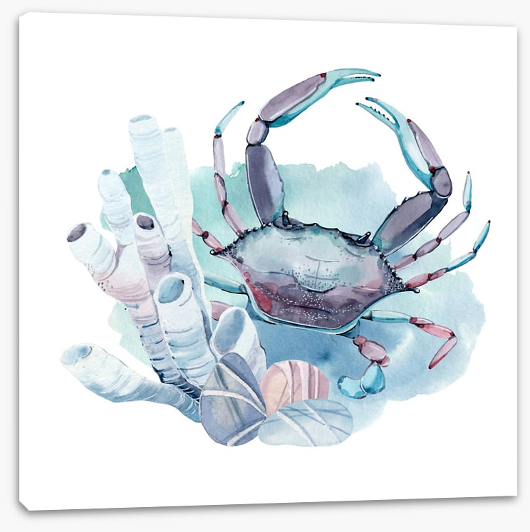 Crab in the coral