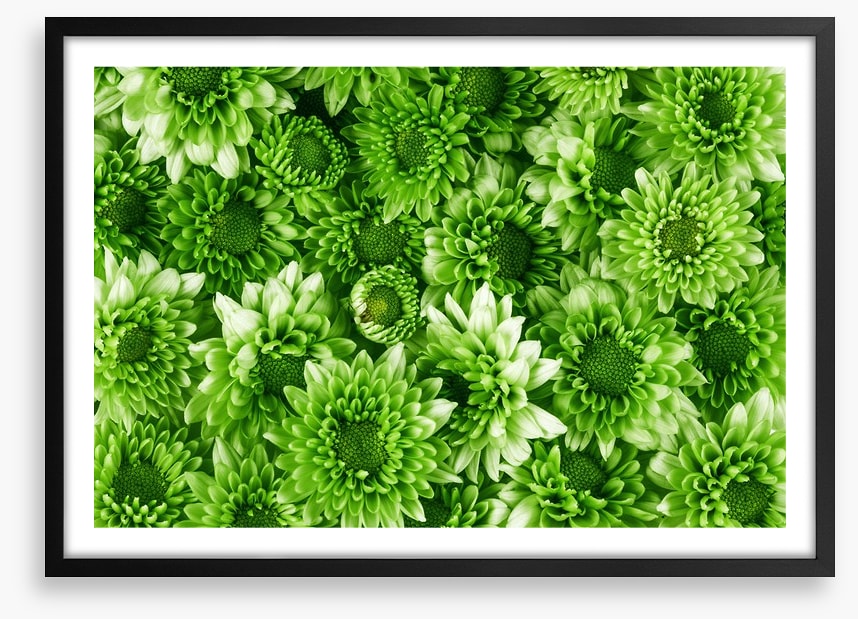Leafy abundance