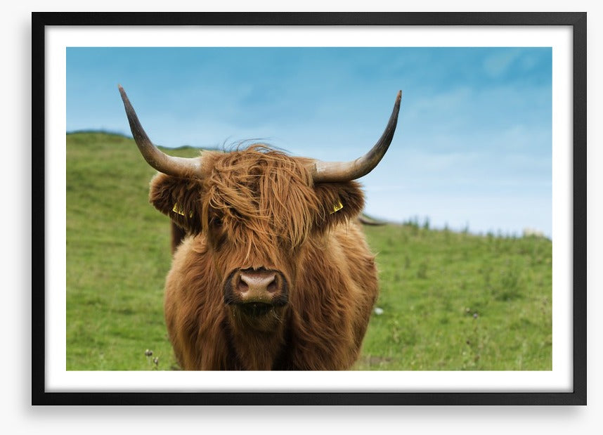 Highland hair