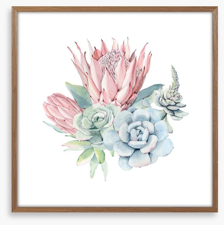 Succulent protea