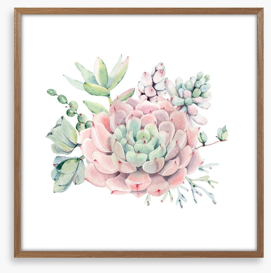 Succulent spring