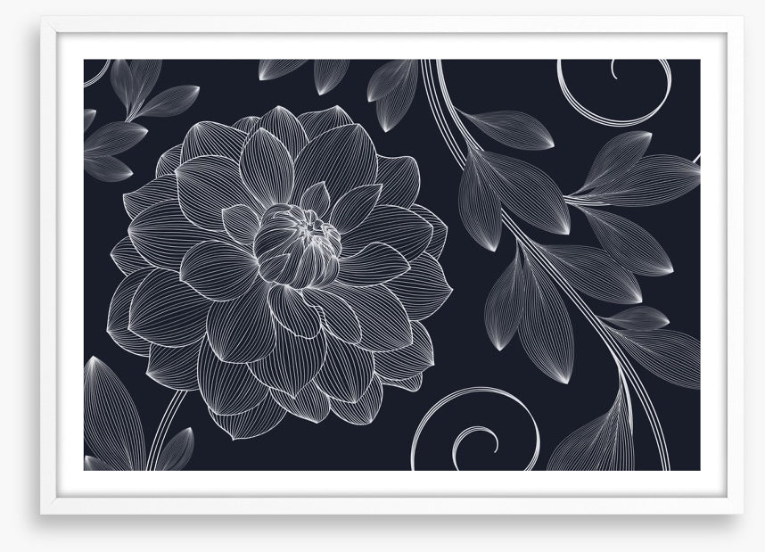 Dahlia flourish