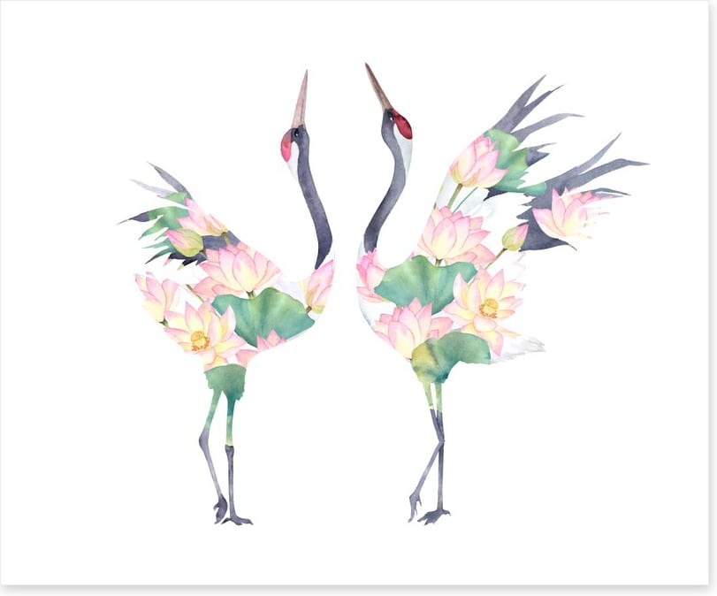 Lotus crane couple