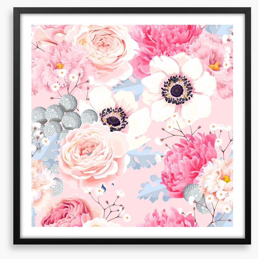 Rosy anemones