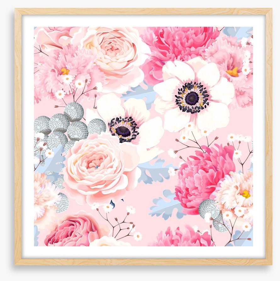 Rosy anemones