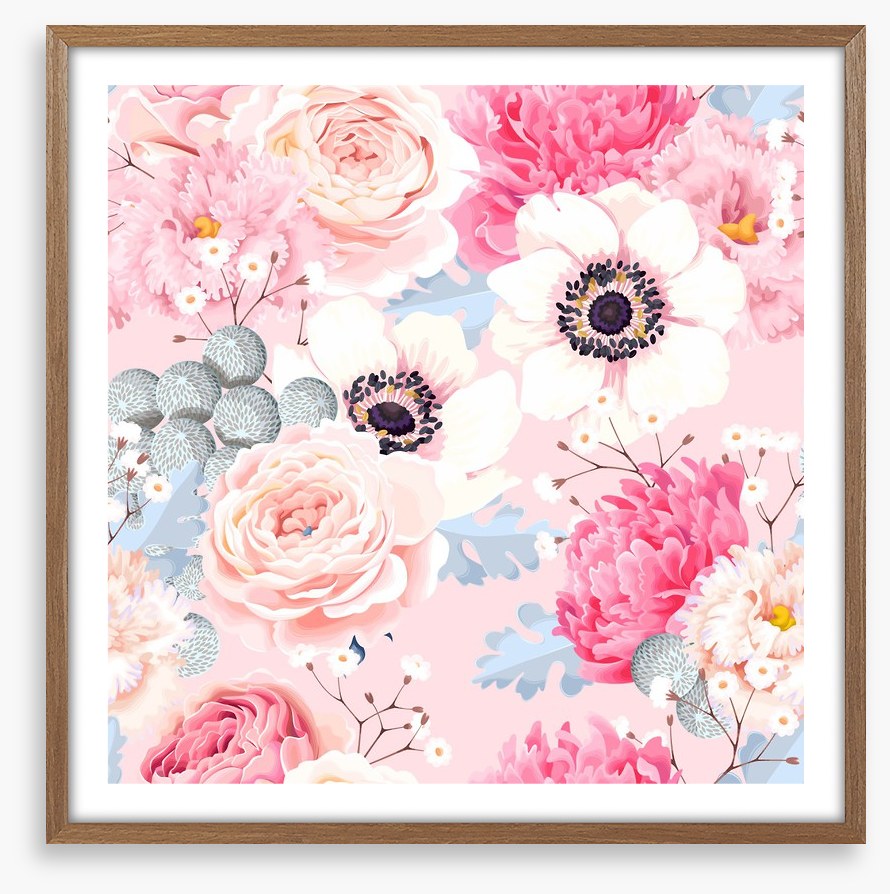 Rosy anemones