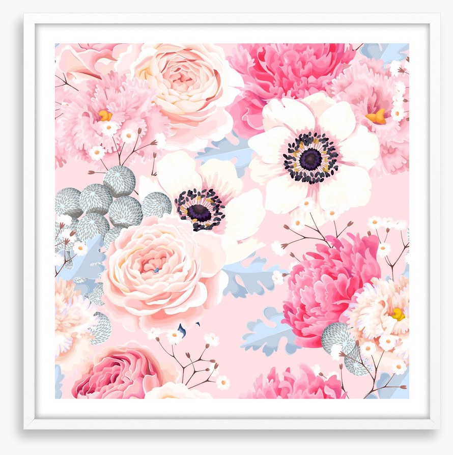 Rosy anemones