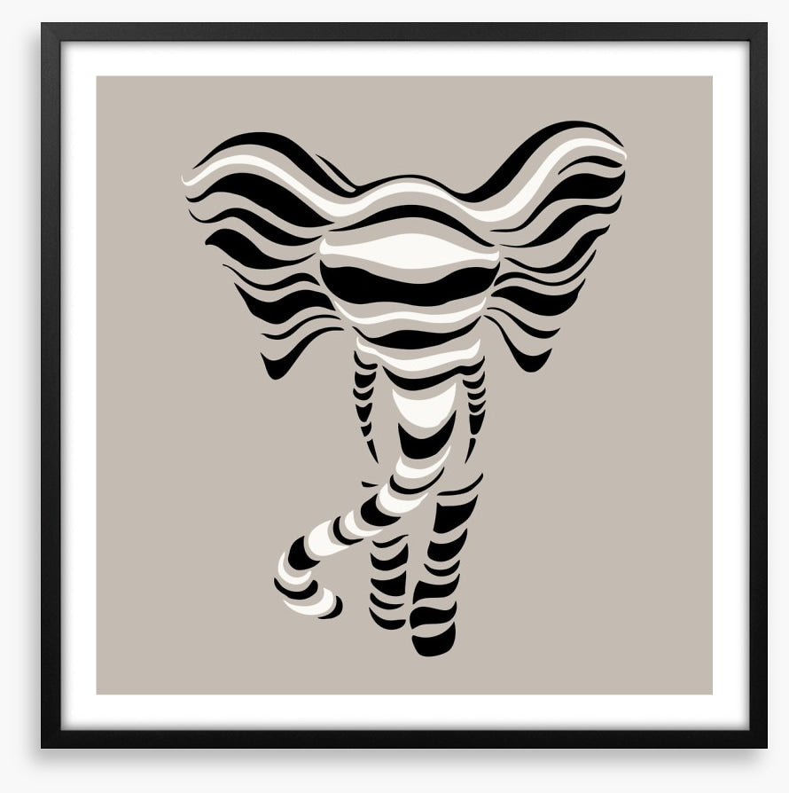 Elephant stripes