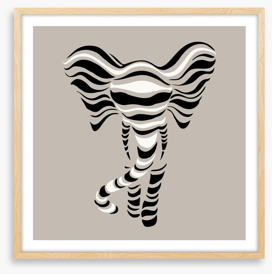 Elephant stripes