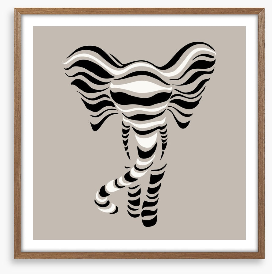 Elephant stripes