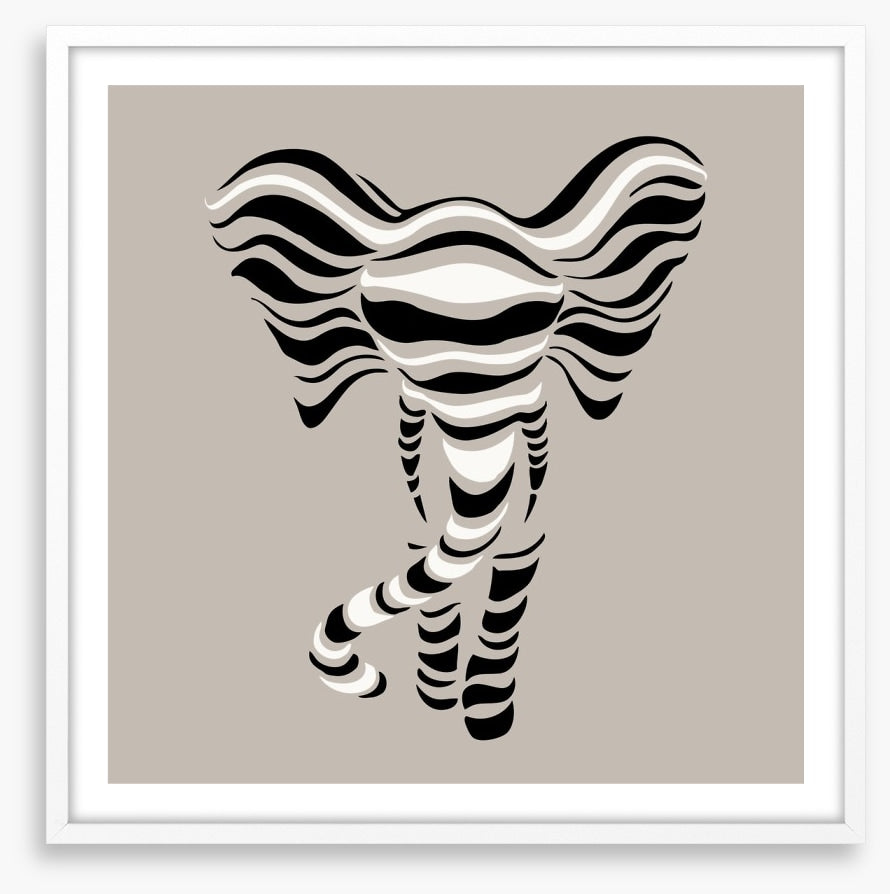 Elephant stripes