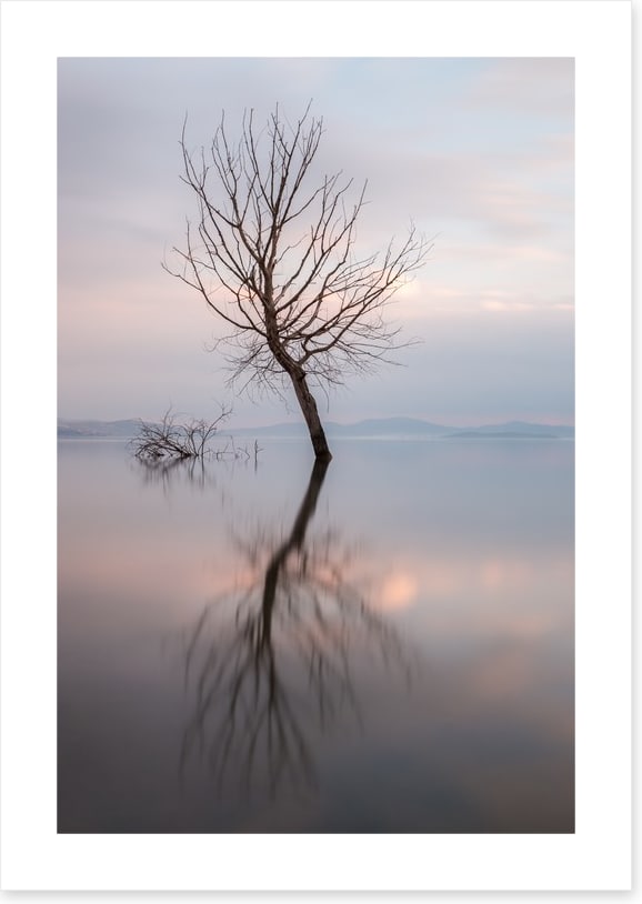 Lady of the lake