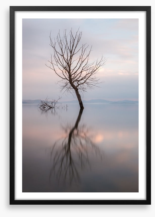 Lady of the lake