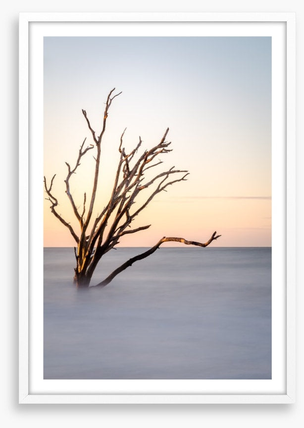 The skeleton tree