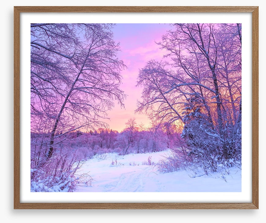 Snowfall sunrise