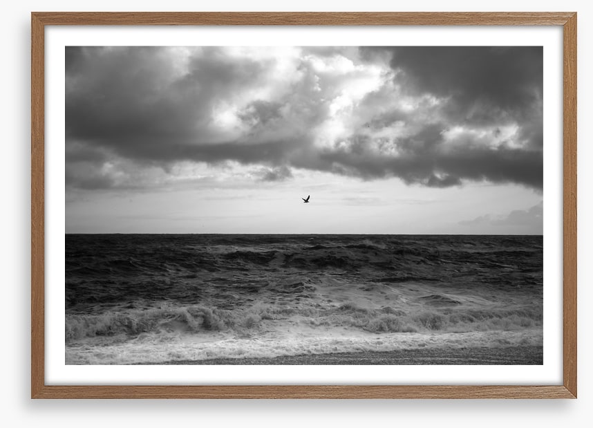 Stormy sea soar