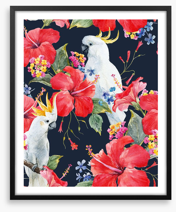 Hibiscus cockatoo