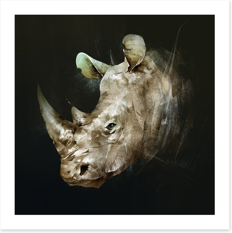 The African rhino