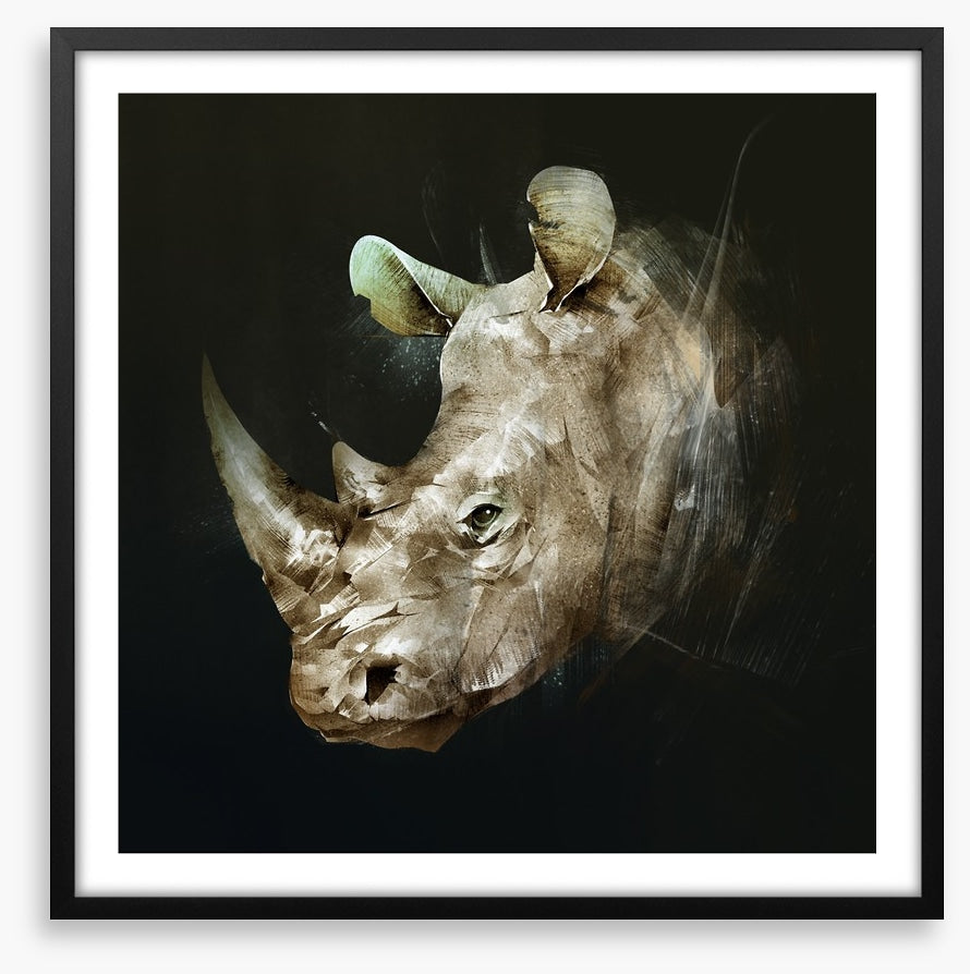 The African rhino